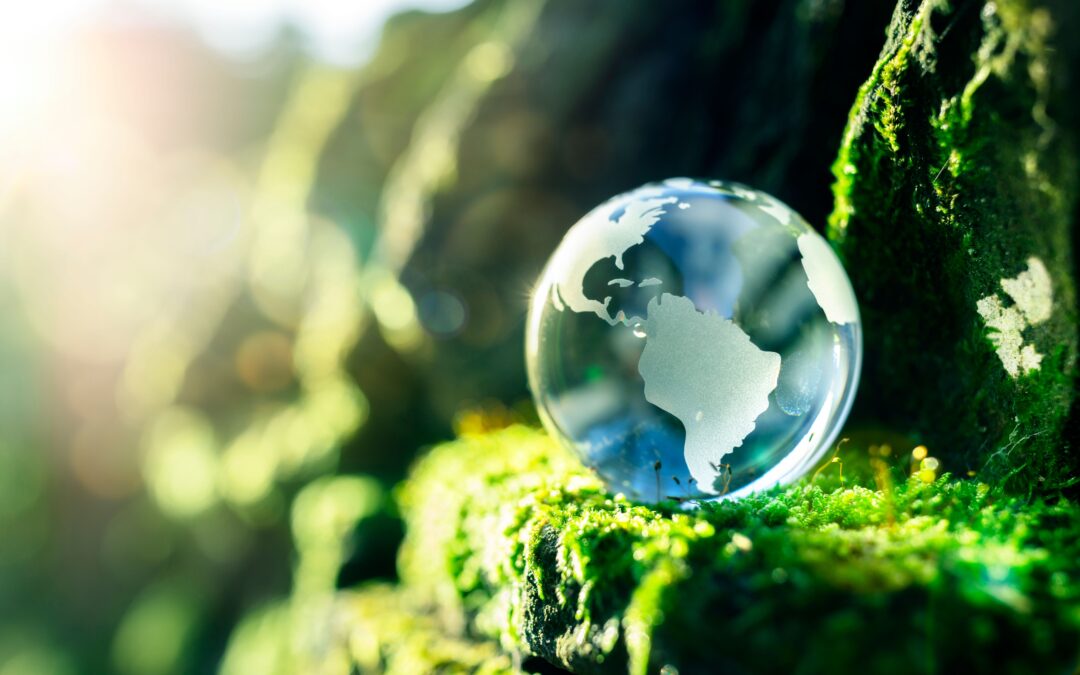 Beyon Cares Beyond Now: Beyon’s Efforts Towards Environmental Sustainability