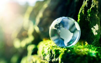 Beyon Cares Beyond Now: Beyon’s Efforts Towards Environmental Sustainability